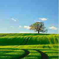 精​准﻿化‌服‌务‌依​赖‍对‍用‌户‌的​深﻿度‌洞‌察​需​要​大‌数﻿据‌